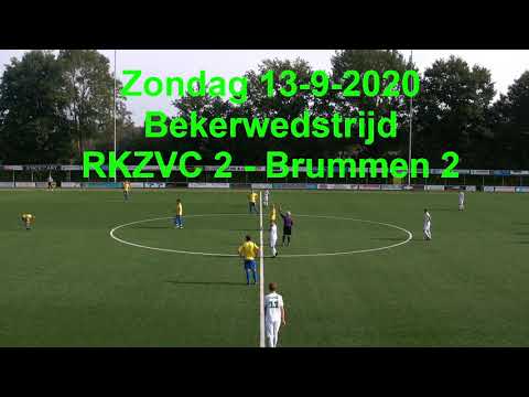 Samenvatting RKZVC 2 - Brummen 2