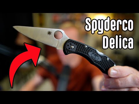 Spyderco Delica4 back lock folding knife VG10 partial serrated blade Seki Japan