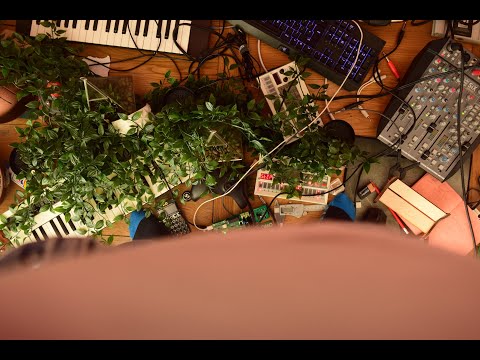 Synthesisers and Plants #Synths #Plants