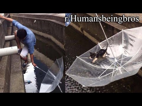 r/Humansbeingbros | click to warm your cold heart