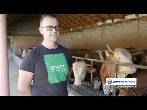 Naša priča ep. 401 04.05.2023. Bojan Tomić, Tabanci, uzgoj tovnih bikova i svinja, ratarstvo