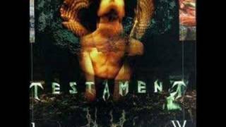 TESTAMENT - ALL I COULD BLEED