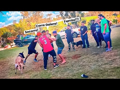 TROLLEI MEUS AMIGOS SOLTANDO CARNEIRO EM CIMA DELES