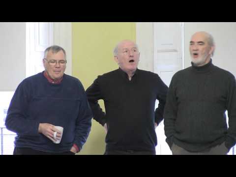 The Holly She Bears A Berry / The Voice Squad