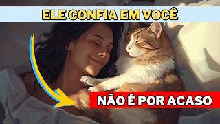 Seu Gato Dorme Ao Seu Lado? VOCÊ PRECISA SABER DISSO!