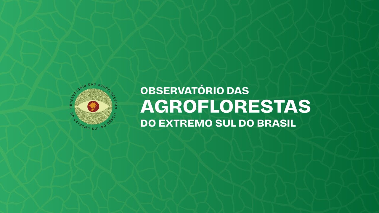 Visitando as Agroflorestas do Extremo Sul do Brasil - SAF Vitrine Embrapa Clima Temperado