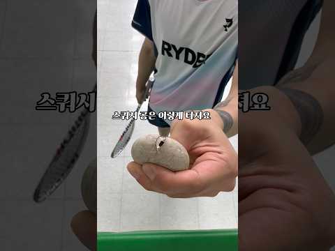 스쿼시공 찢어볼게요 #스쿼시 #squash