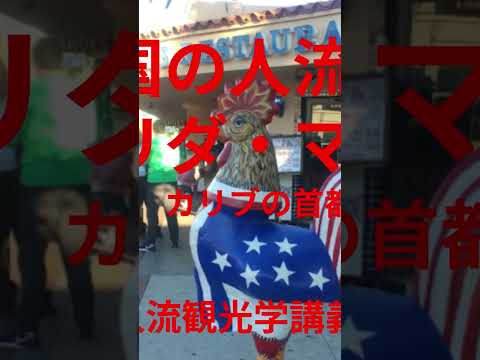 観光政策学科 2025年7月5日