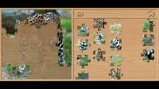 🐆 Jaguar Jigsaw Puzzle - Animals Puzzles for Kids Walkthrough