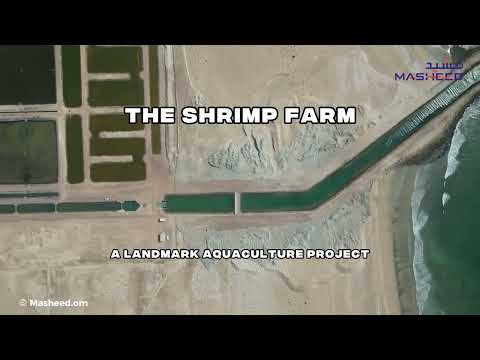Shrimp Farm Development