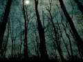 Ramona Falls - I Say Fever Lyrics 