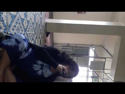 Nna taua ngarem live