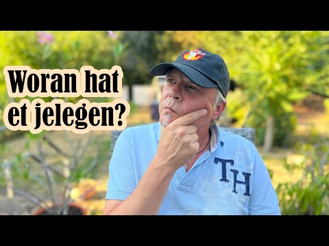 DGM 2022 | Mein persönliches Fazit aus Sicht des Grillteams Spranta BBQ | Ingo BBQ Folge 121