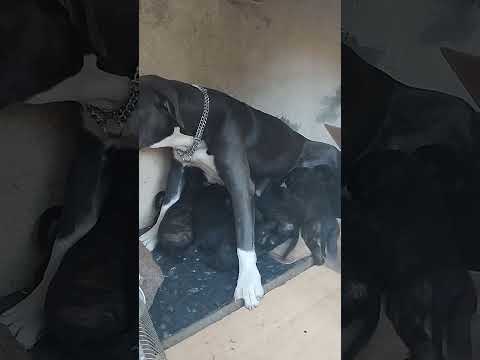 19 de febrero de 2024