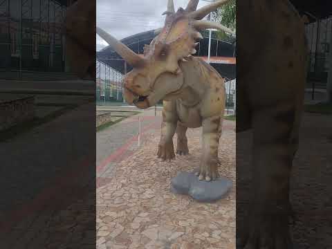 SANTA INÊS BAHIA #shorts #santainês #bahia  #cultura #turismo #entretenimento #dinossauros