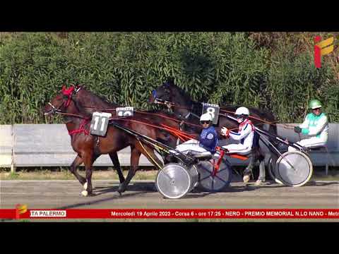 VI Corsa del 19 aprile 2023 - Memorial N. Lo Nano - 5 Anni ed oltre - Metri 2000/20/40