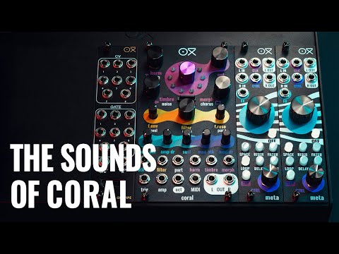 OXI Instruments Coral Polyphonic Eurorack Synth image 4