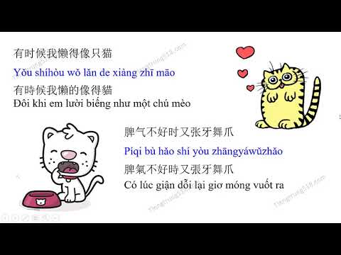 Học tiếng Trung qua những bài hát hay - Học mèo kêu 学猫叫 xue mao jiao