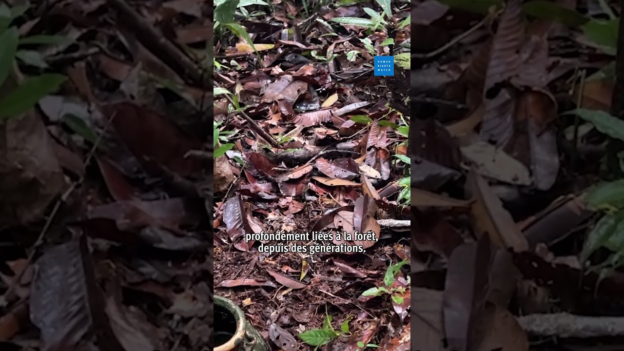 Malaisie : Une communauté autochtone privée de ses droits