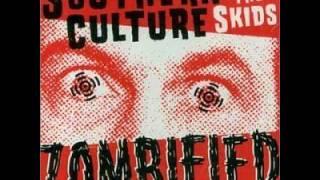 Southern Culture On The Skids - Zombified