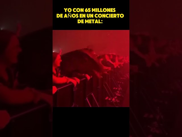 Vídeo relacionado con Haz un poco de dinosaurio rugiente con un concierto de guitarra Manga Larga