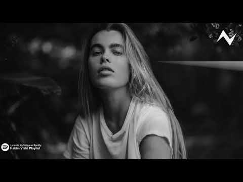 Alan Walker Inspired, Illenium - Nightlight (Lyrics Video)