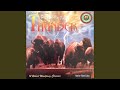 Condor