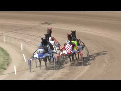 2018.05.05. 5. futam - DINGÓ DÍJ