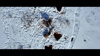 Download lagu Summer Soul - Oh Love  Visualizer mp3