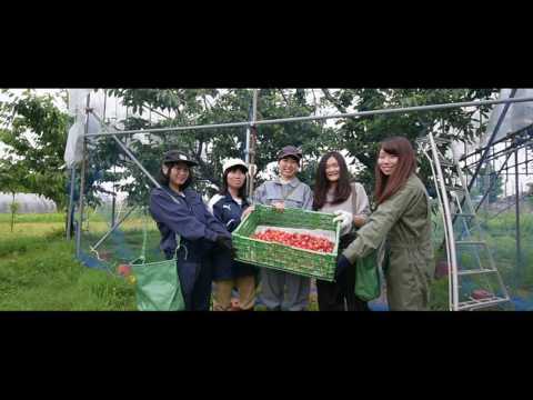 Yamagata University Virtual Open Campus(Tsuruoka Campus ver.)