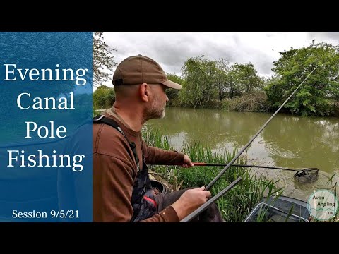 Canal Pole Fishing - Catching Bronze, Silver & Gold - 9/5/20 (Video 240)