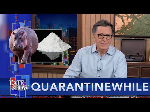 Quarantinewhile... Stephen Offers A Solution For Colombia's Cocaine Hippo Problem