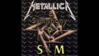 Metallica - Minus Human