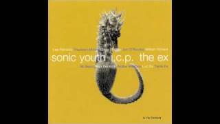 Sonic Youth + ICP + The Ex - X (In The Fishtank)