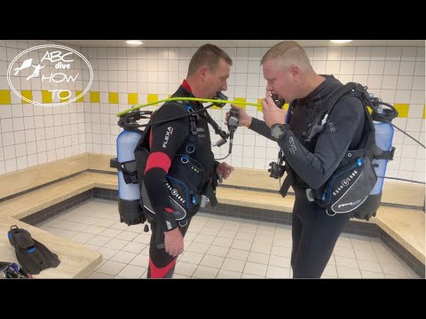 Buddy Check - PADI Open Water Diver Course demo [2/24]