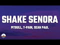 Pitbull Shake Senora Lyrics Ft T Pain Sean Paul