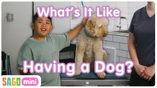 What's it like having a dog? | Circle Time | Sago Mini School