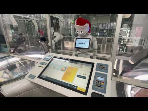 Niska Robotic Ice cream in Melbourne