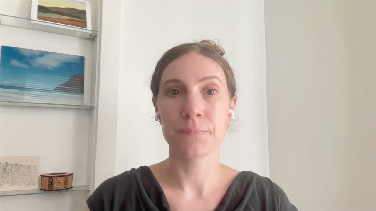 Building Posit Assistant: An AI Agent for Data Science and Analysis