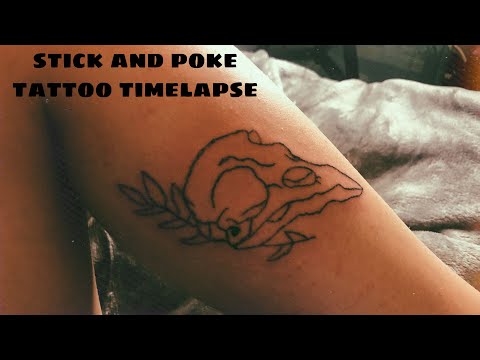 stick and poke tattoo - bird skull time lapse (no talking)
