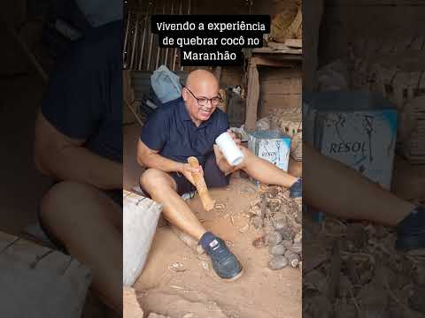 vivendo na prática  a experiência  de quebrar  cocô de babaçu em SÃO LUIS  GONZAGA -MA