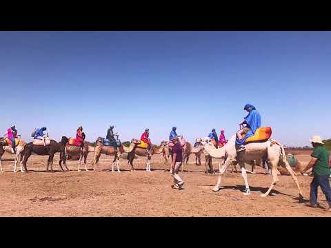 Travelogue 021: Marrakesh, Morocco 2D2N