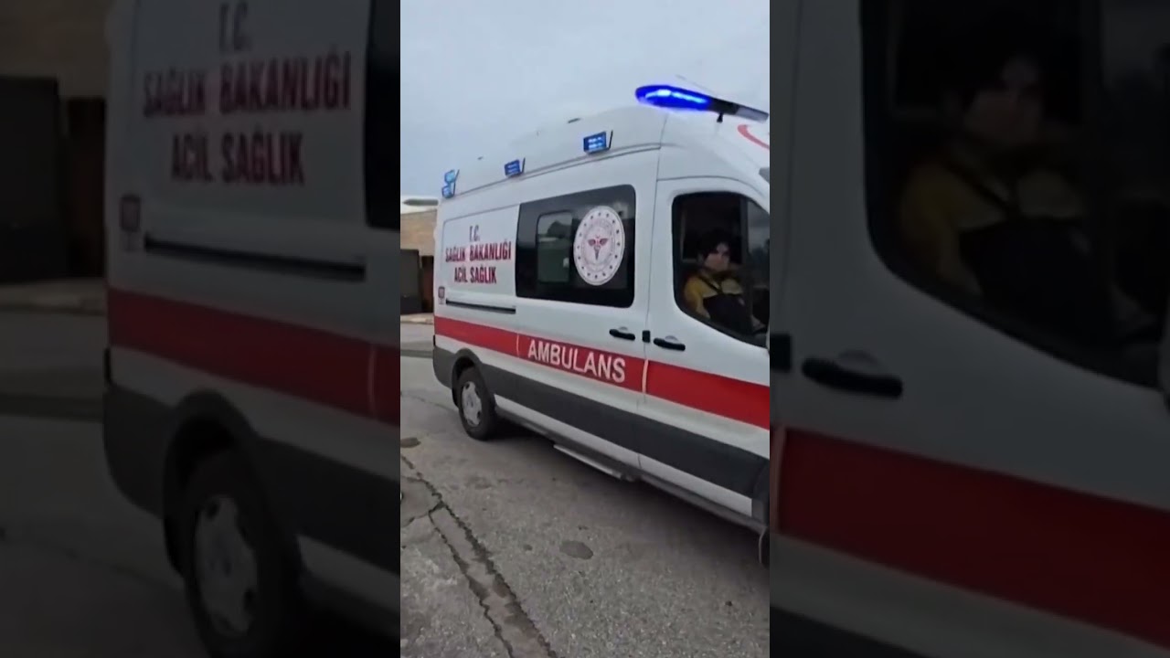 WATCH: Rescue Ops Underway in Turkey After 18 Perish in Migrant Shipwreck | DWS News | AP1C