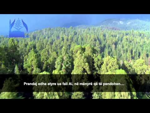 Recitim Emocional Nga Idris Abkar Surah Tevbe 117-119