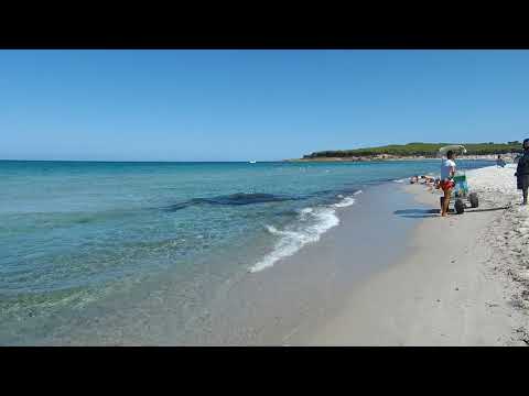 In riva al mare di Budoni Sardegna  Italy