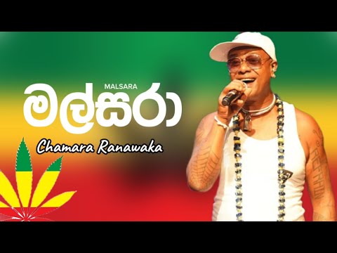 Malsara ( මල්සරා ) Chamara Ramawaka | New Reggae Song 2023