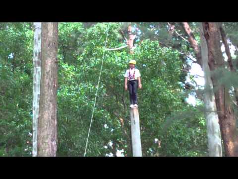 The Msog Inside Challenges
