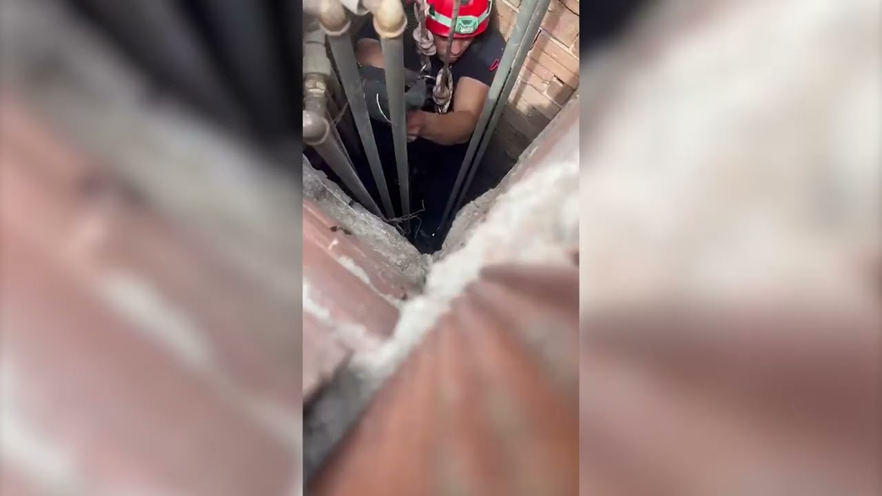 Havalandırma Boşluğuna Düşen Kediyi Büyükşehir İtfaiye Ekipleri Kurtardı