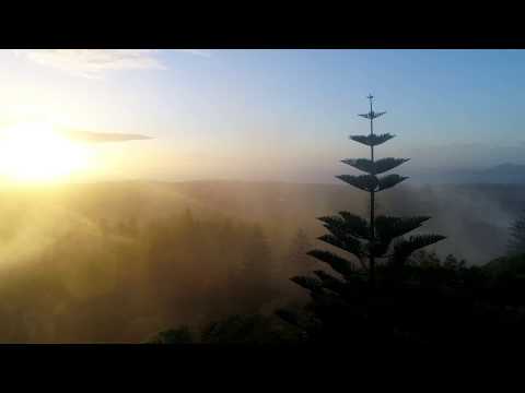 Norfolk Island scenery