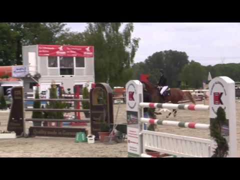 video of Cadmo van de Pluum Groes Reit und Springturnier Kirchhellen Stall Dieckmann